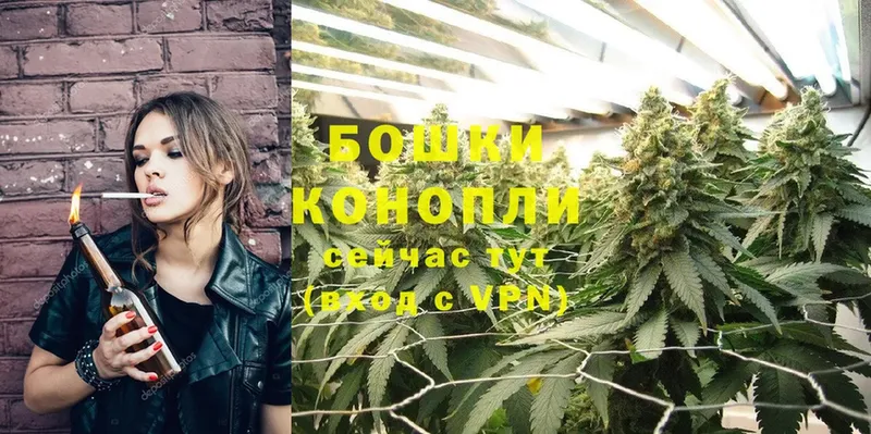 mega ССЫЛКА  Баксан  Марихуана SATIVA & INDICA 